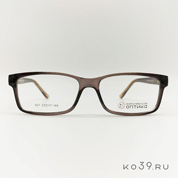 Оправа корригирующих очков "КОРОЛЕВСКАЯ ОПТИКА" (пластик) 667 С2