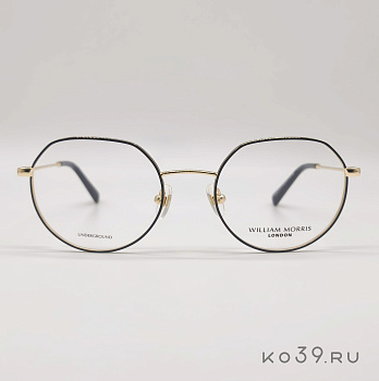 Оправа ProDesign William_Morris_London REGENT_3 цв.6032 разм.50/19