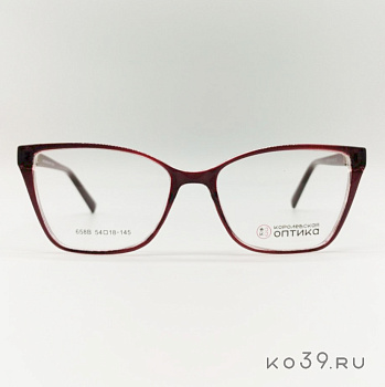 Оправа корригирующих очков "КОРОЛЕВСКАЯ ОПТИКА" (пластик) 658B С3