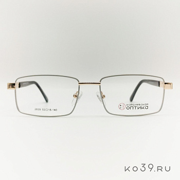 Оправа корригирующих очков "КОРОЛЕВСКАЯ ОПТИКА" (металл) 2839 С1