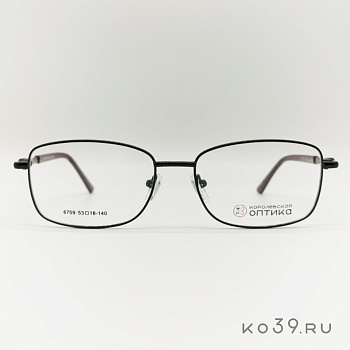 Оправа корригирующих очков "КОРОЛЕВСКАЯ ОПТИКА" (металл) 6709 С4