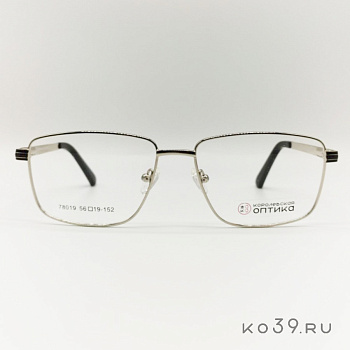 Оправа корригирующих очков "КОРОЛЕВСКАЯ ОПТИКА" (металл) 78019 С2