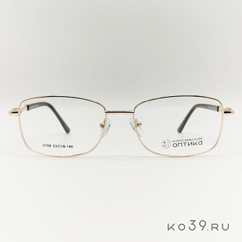Оправа корригирующих очков "КОРОЛЕВСКАЯ ОПТИКА" (металл) 6709 С1