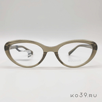 Оправы корригирующих очков MOLSION  MO 3001 B16