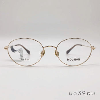 Оправы корригирующих очков MOLSION  MA 7036 B30