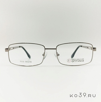 Оправа корригирующих очков "КОРОЛЕВСКАЯ ОПТИКА" (металл) 5530 С1