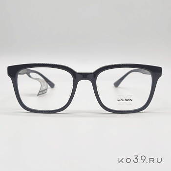 Оправы корригирующих очков MOLSION  MX 3002 B10