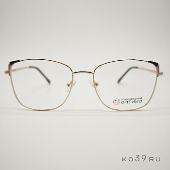 Оправа корригирующих очков "КОРОЛЕВСКАЯ ОПТИКА" (металл) O701 С1