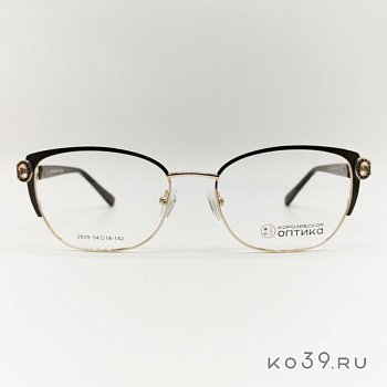Оправа корригирующих очков "КОРОЛЕВСКАЯ ОПТИКА" (металл) 2829 С1