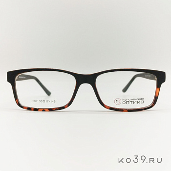 Оправа корригирующих очков "КОРОЛЕВСКАЯ ОПТИКА" (пластик) 667 С5