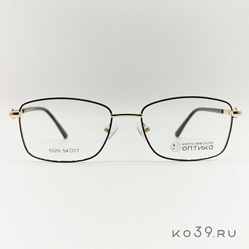 Оправа корригирующих очков "КОРОЛЕВСКАЯ ОПТИКА" (металл) 5529 С1