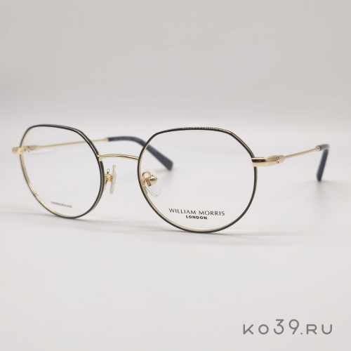 Оправа ProDesign William_Morris_London REGENT_3 цв.6032 разм.50/19
