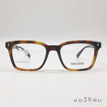 Оправы корригирующих очков MOLSION  MJ 3119 B20