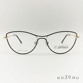 Оправа корригирующих очков "КОРОЛЕВСКАЯ ОПТИКА" (металл) 2399 С1