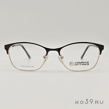 Оправа корригирующих очков "КОРОЛЕВСКАЯ ОПТИКА" (металл) G1001 С1