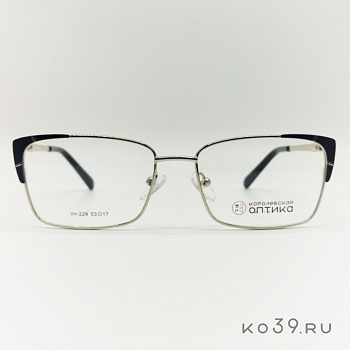 Оправа корригирующих очков "КОРОЛЕВСКАЯ ОПТИКА" (металл) Vn-229 С2