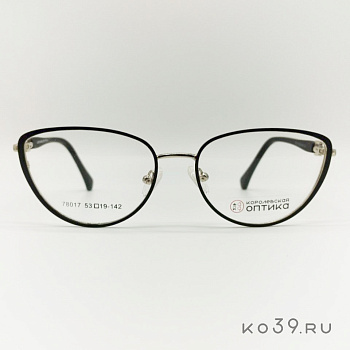 Оправа корригирующих очков "КОРОЛЕВСКАЯ ОПТИКА" (металл) 78017 С2