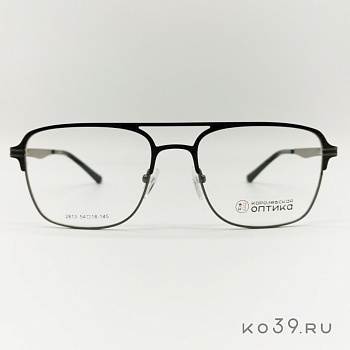 Оправа корригирующих очков "КОРОЛЕВСКАЯ ОПТИКА" (металл) 2813 С3