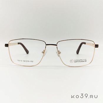 Оправа корригирующих очков "КОРОЛЕВСКАЯ ОПТИКА" (металл) 78019 С1
