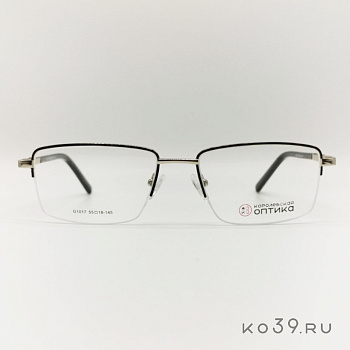 Оправа корригирующих очков "КОРОЛЕВСКАЯ ОПТИКА" (металл) G1017 С3