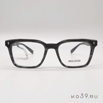 Оправы корригирующих очков MOLSION  MJ 3119 B01