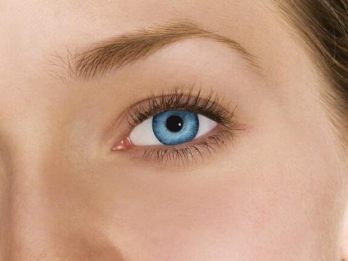 FRESHLOOK Dimensions  / BC 8.6 (6шт.)