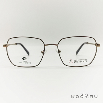 Оправа корригирующих очков "КОРОЛЕВСКАЯ ОПТИКА" (металл) 4057 С4