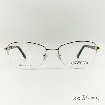 Оправа корригирующих очков "КОРОЛЕВСКАЯ ОПТИКА" (металл) 11137 С2