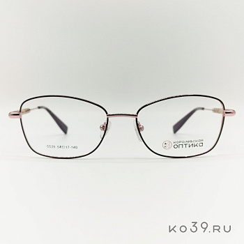 Оправа корригирующих очков "КОРОЛЕВСКАЯ ОПТИКА" (металл) 5539 С3