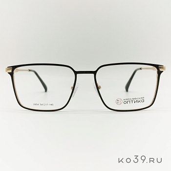 Оправа корригирующих очков "КОРОЛЕВСКАЯ ОПТИКА" (металл) 2854 С4