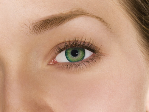 FRESHLOOK Dimensions  / BC 8.6 (6шт.)