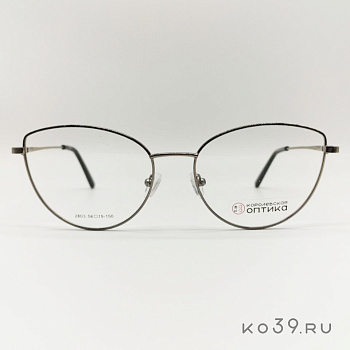 Оправа корригирующих очков "КОРОЛЕВСКАЯ ОПТИКА" (металл) 2803 С3