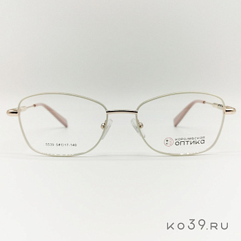 Оправа корригирующих очков "КОРОЛЕВСКАЯ ОПТИКА" (металл) 5539 С4
