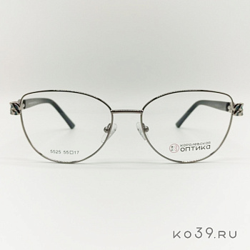 Оправа корригирующих очков "КОРОЛЕВСКАЯ ОПТИКА" (металл) 5525 С2