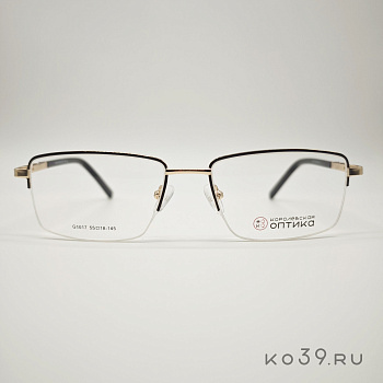 Оправа корригирующих очков "КОРОЛЕВСКАЯ ОПТИКА" (металл) G1017 С1