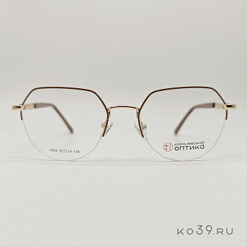Оправа корригирующих очков "КОРОЛЕВСКАЯ ОПТИКА" (металл) 2699 C3